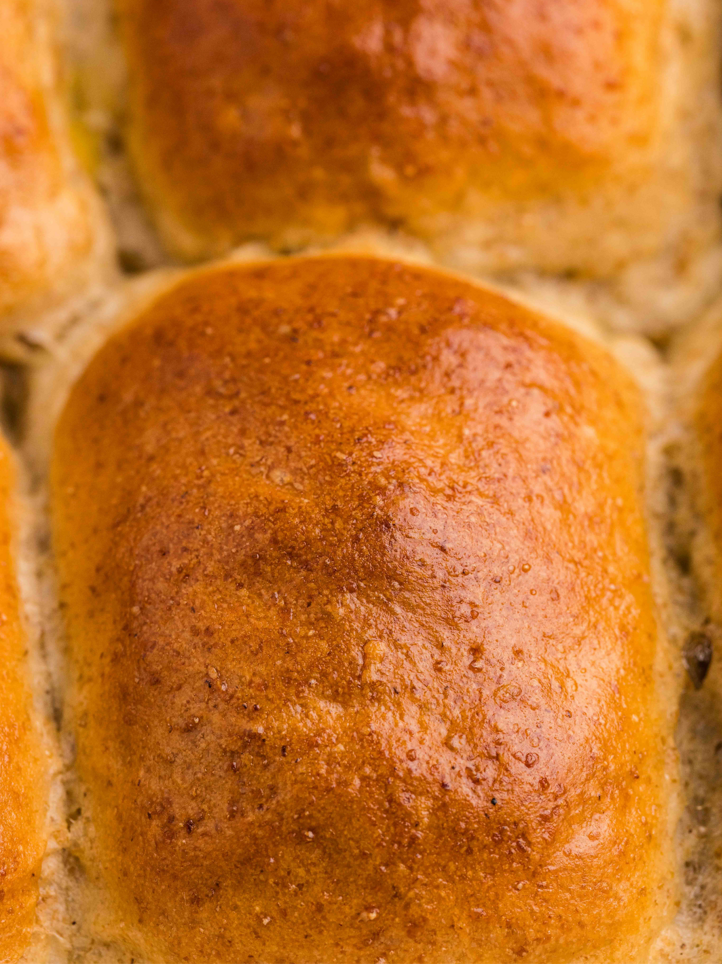 Rye Dinner Rolls