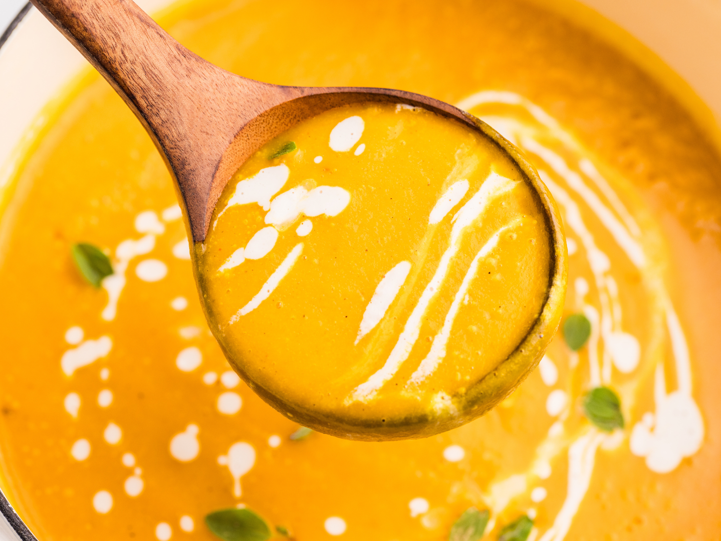 Butternut Squash and Carrot Soup